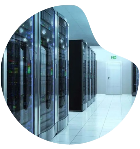 NetForChoice Solutions