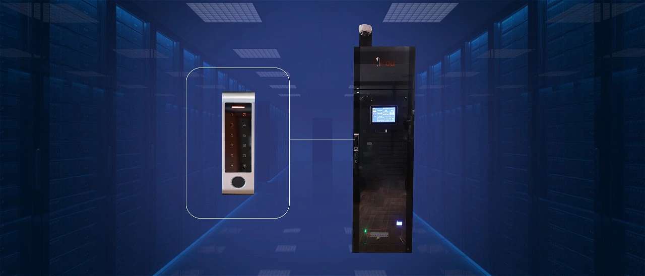 Remote Biometric Security